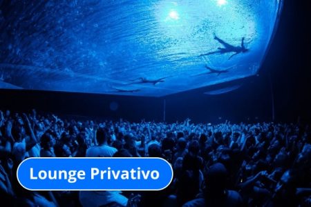 Fuerza Bruta – Lounge Privativo
