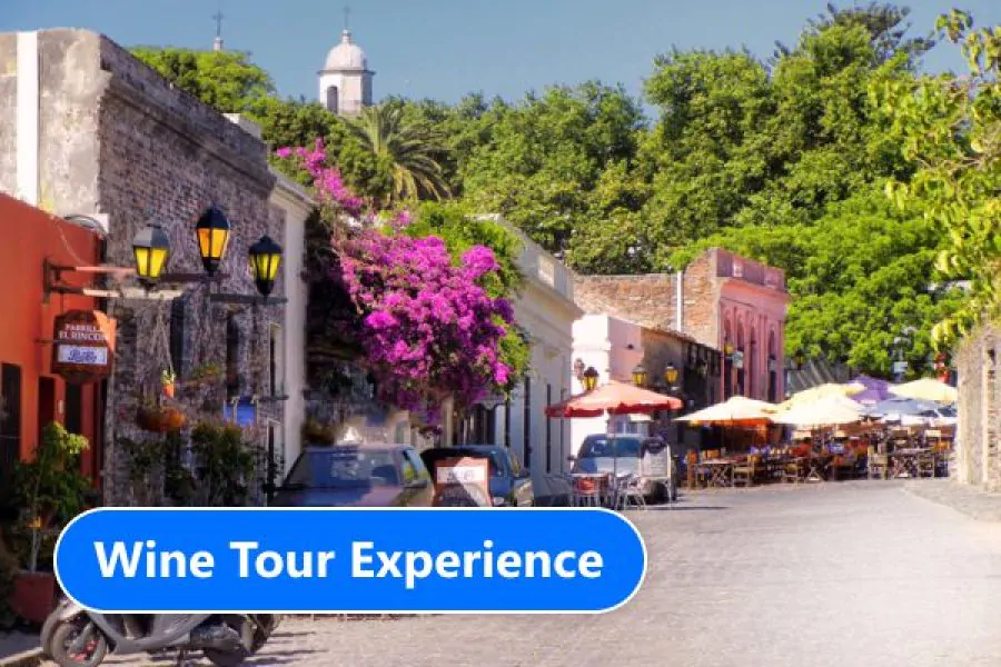 Colônia del Sacramento – Wine Tour Experience