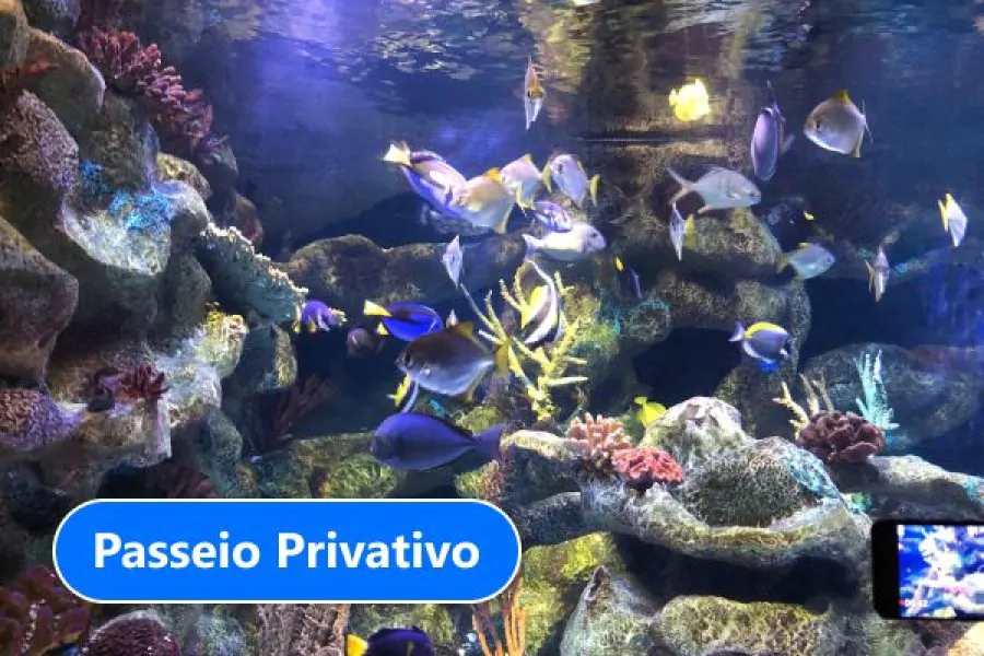 Bioparque Temaikèn – Privativo – 4 Pessoas